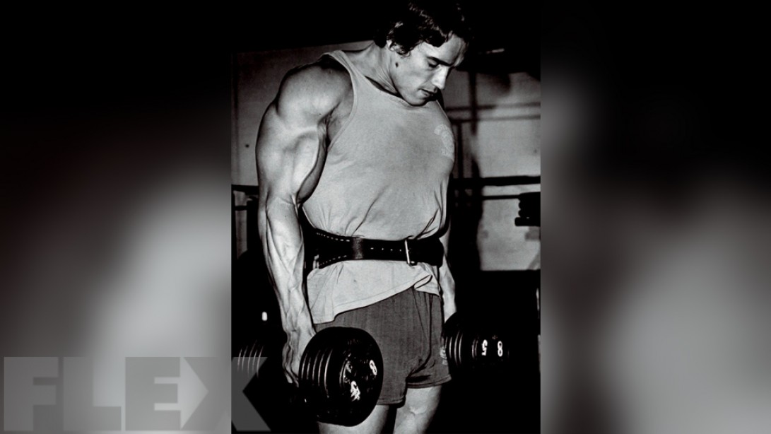 Arnold Schwarzenegger Traps Workout